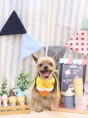 20250502リムちゃん